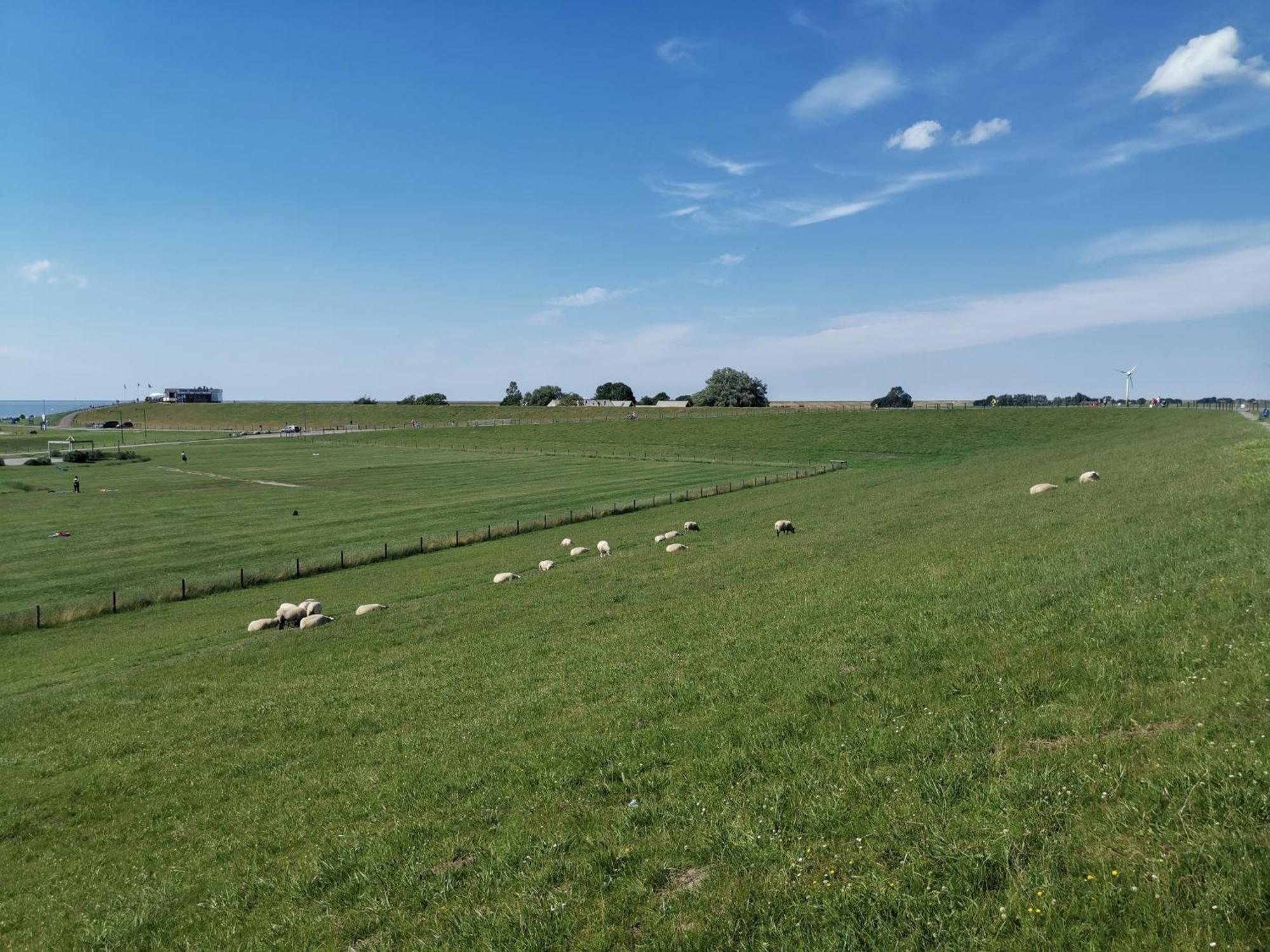 Fewo Urbaniak Tossens Butjadingen Zewnętrze zdjęcie
